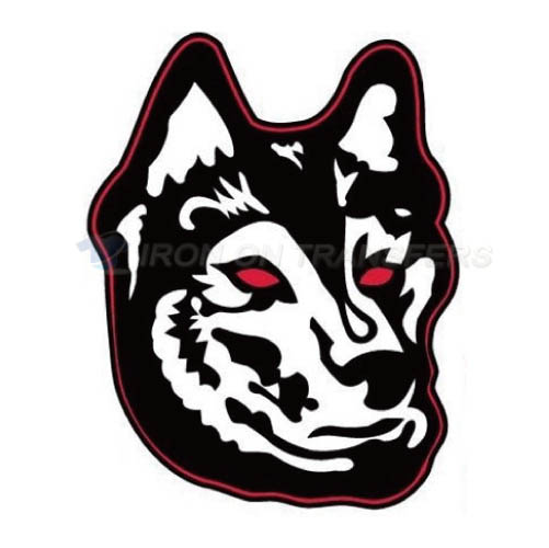 Northeastern Huskies Logo T-shirts Iron On Transfers N5633